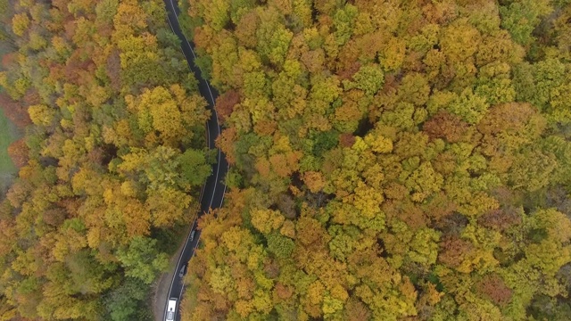 从森林鸟瞰道路，秋天的季节，美丽多彩的风景视频素材