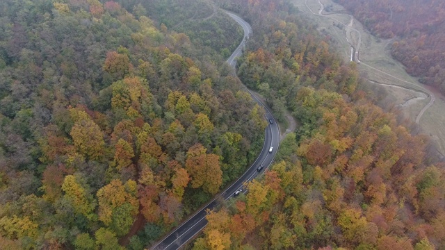 从森林鸟瞰道路，秋天的季节，美丽多彩的风景视频素材