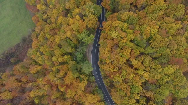 从森林鸟瞰道路，秋天的季节，美丽多彩的风景视频素材