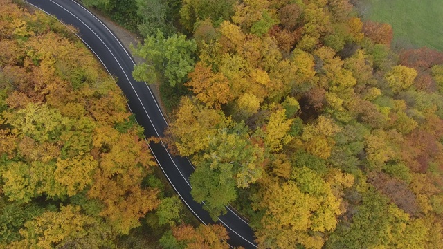 从森林鸟瞰道路，秋天的季节，美丽多彩的风景视频素材