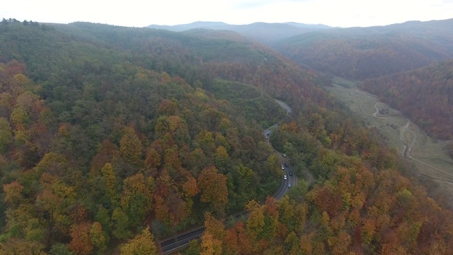 从森林鸟瞰道路，秋天的季节，美丽多彩的风景视频素材