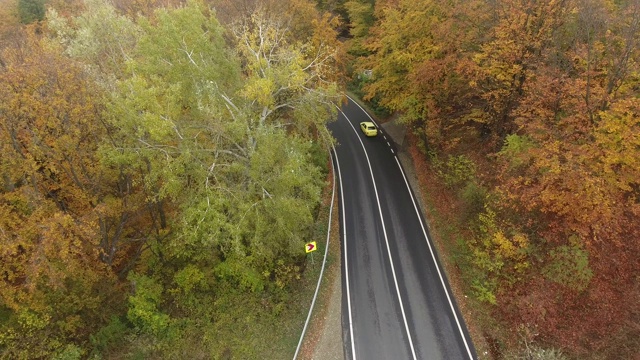 从森林鸟瞰道路，秋天的季节，美丽多彩的风景视频素材