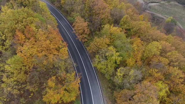 从森林鸟瞰道路，秋天的季节，美丽多彩的风景视频素材