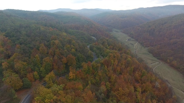 从森林鸟瞰道路，秋天的季节，美丽多彩的风景视频素材