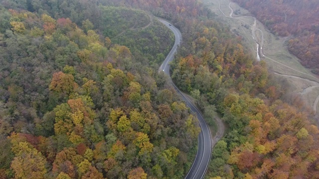 从森林鸟瞰道路，秋天的季节，美丽多彩的风景视频素材