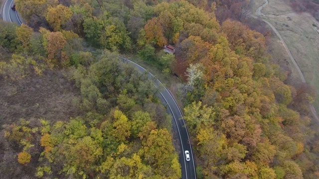 从森林鸟瞰道路，秋天的季节，美丽多彩的风景视频素材