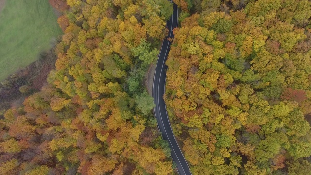 从森林鸟瞰道路，秋天的季节，美丽多彩的风景视频素材