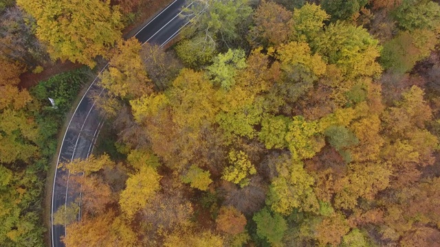 从森林鸟瞰道路，秋天的季节，美丽多彩的风景视频素材