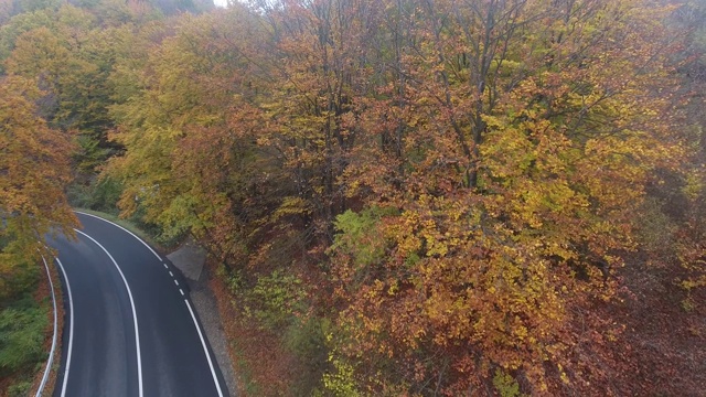 从森林鸟瞰道路，秋天的季节，美丽多彩的风景视频素材