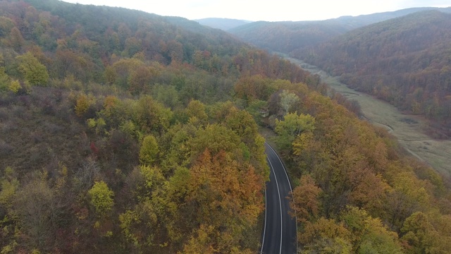 从森林鸟瞰道路，秋天的季节，美丽多彩的风景视频素材