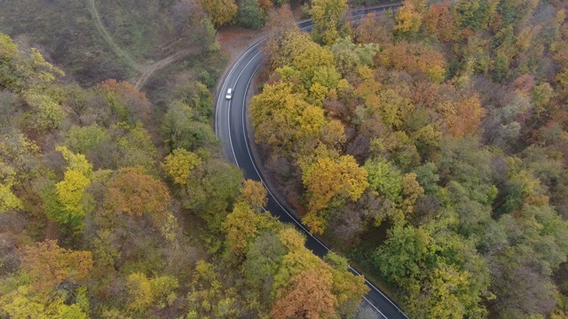 从森林鸟瞰道路，秋天的季节，美丽多彩的风景视频素材