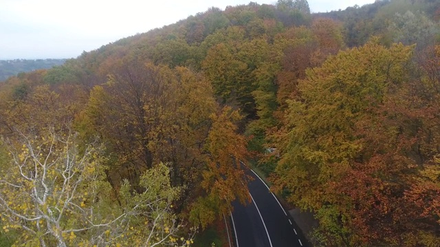 从森林鸟瞰道路，秋天的季节，美丽多彩的风景视频素材