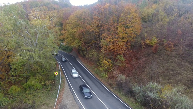 从森林鸟瞰道路，秋天的季节，美丽多彩的风景视频素材