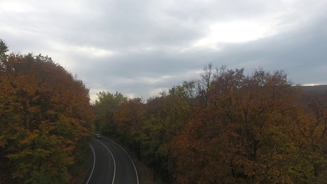 从森林鸟瞰道路，秋天的季节，美丽多彩的风景视频素材