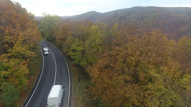 从森林鸟瞰道路，秋天的季节，美丽多彩的风景视频素材