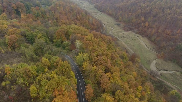 从森林鸟瞰道路，秋天的季节，美丽多彩的风景视频素材