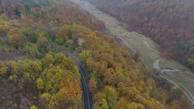 从森林鸟瞰道路，秋天的季节，美丽多彩的风景视频素材