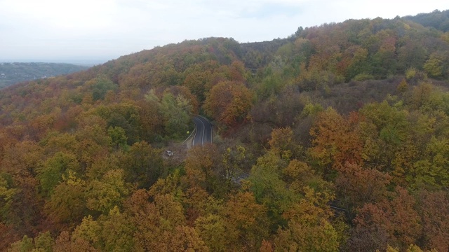 从森林鸟瞰道路，秋天的季节，美丽多彩的风景视频素材