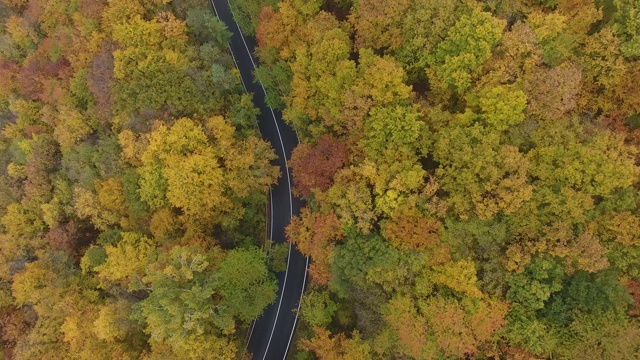 从森林鸟瞰道路，秋天的季节，美丽多彩的风景视频素材