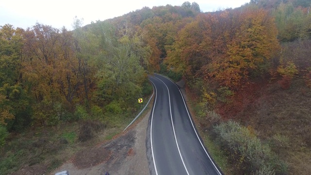 从森林鸟瞰道路，秋天的季节，美丽多彩的风景视频素材