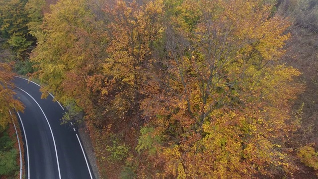 从森林鸟瞰道路，秋天的季节，美丽多彩的风景视频素材