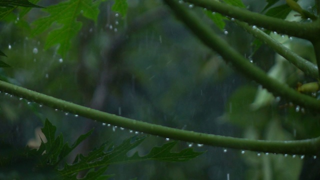 雨落下的慢动作视频素材