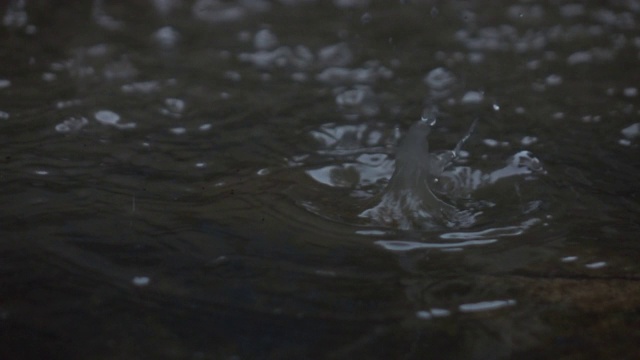 雨落下的慢动作视频素材