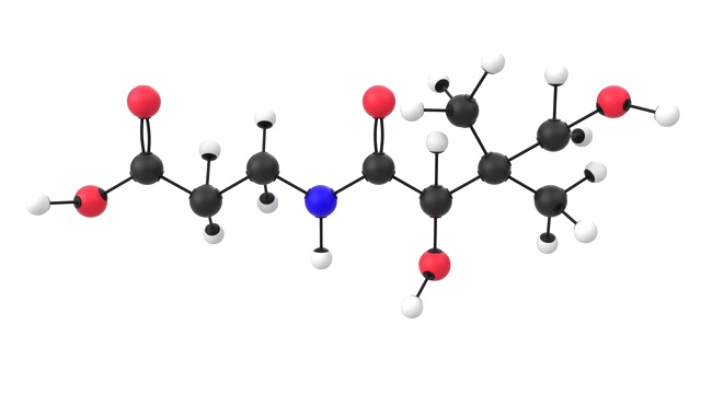 带有α层的维生素B5分子的三维动画视频素材