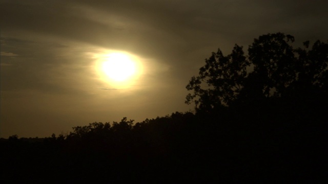 在一个多云的夜晚，树木的剪影在夕阳旁摇摆。视频素材