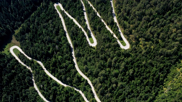 穿越森林的公路旅行视频素材