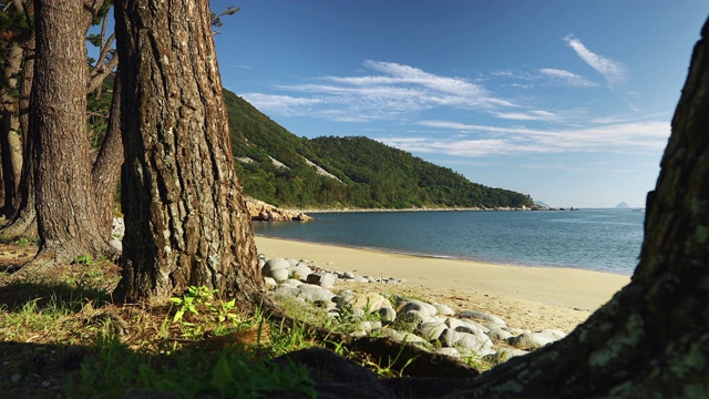 韩国全罗南道，新吉尔岛/万道根岛，石国海滩树间景色视频素材