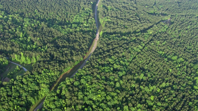 在美国密西西比州Guntown的Natchez Trace Parkway上驾驶经典汽车的鸟瞰图视频素材