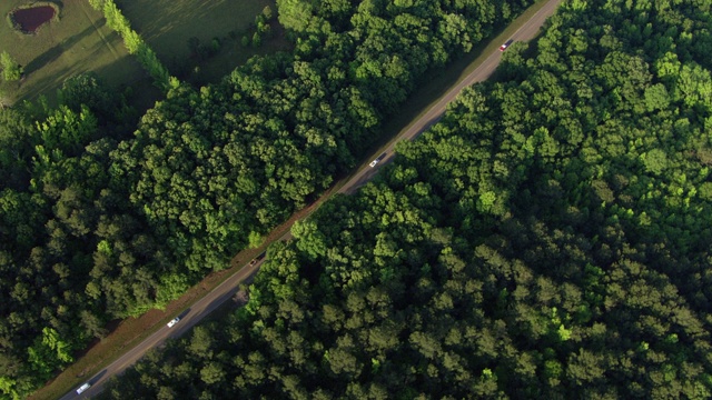 在美国密西西比州Guntown的Natchez Trace Parkway上行驶的老爷车的鸟瞰图视频素材