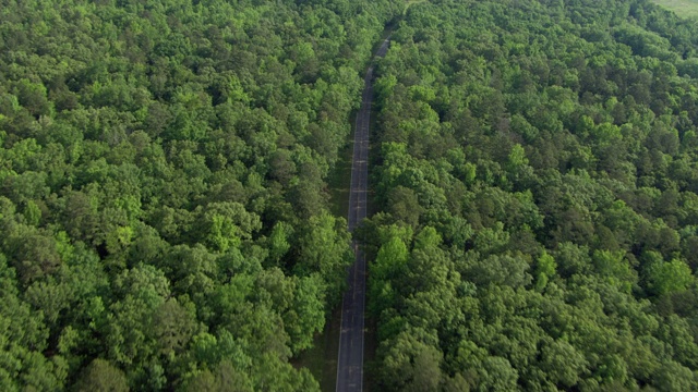 鸟瞰纳齐兹小径公园路通过树木覆盖的景观，阿拉巴马州，美国视频素材