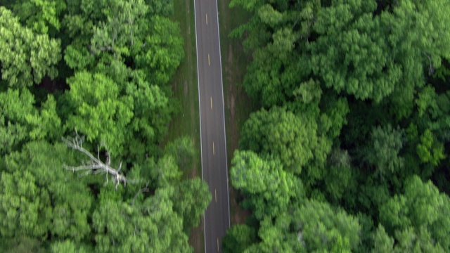 鸟瞰图的纳齐兹小径公园路通过森林景观，密西西比州，美国视频素材