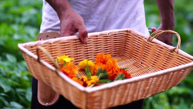 年轻的花匠花匠手捧花束走在乡村农场里。视频素材