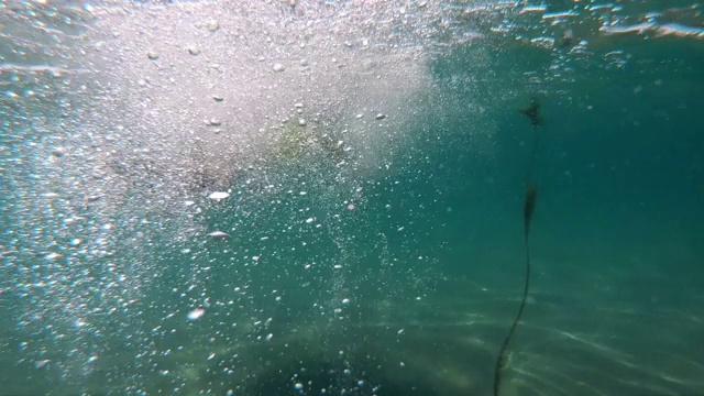 在清澈的海水中游泳的人的水下视图视频素材