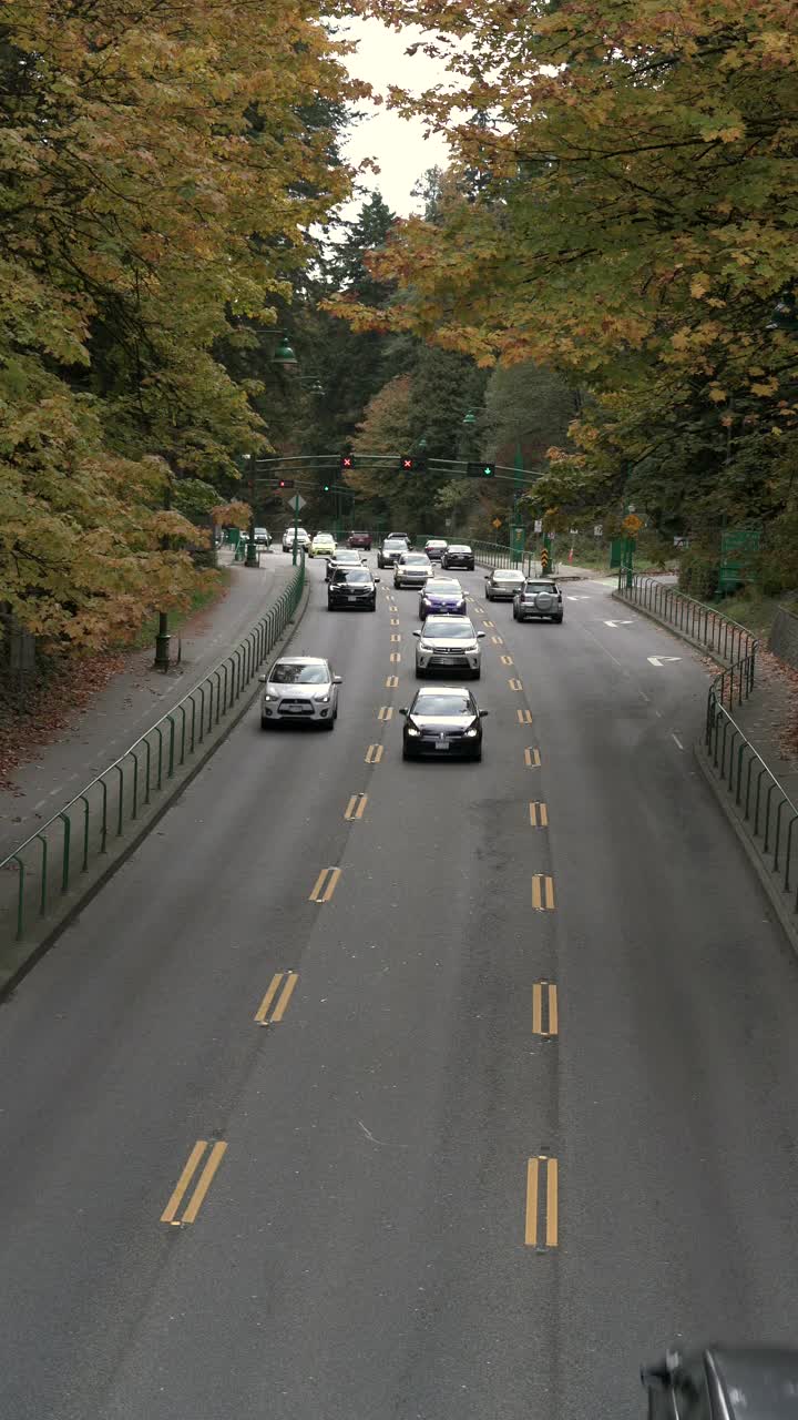 尖峰时刻公路垂直视频4K超高清视频素材