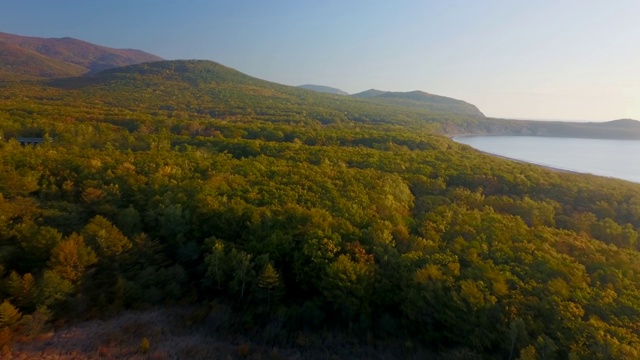 从以上观点。美丽的秋天的风景。在西霍特-阿林生物圈保护区，在群山和大海的背景下飞过秋天的树木。视频素材