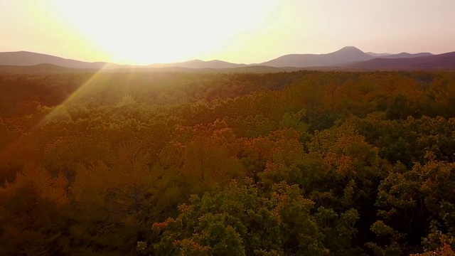 从以上观点。美丽的秋天的风景。在西霍特-阿林生物圈保护区，在群山和大海的背景下飞过秋天的树木。视频素材