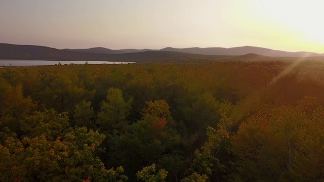 从以上观点。美丽的秋天的风景。在西霍特-阿林生物圈保护区，在群山和大海的背景下飞过秋天的树木。视频素材