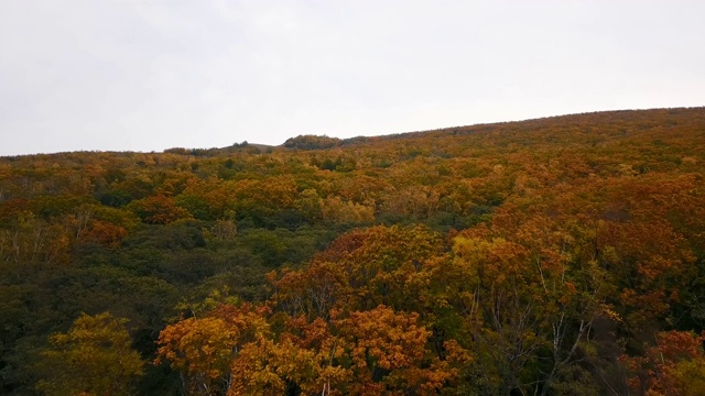 在西霍特-阿林生物圈保护区，在群山和大海的背景下飞过秋天的树木。视频素材