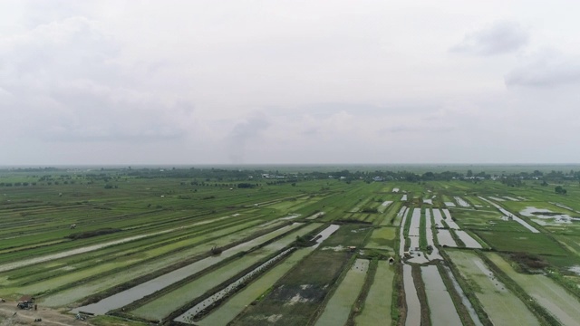 亚洲农田鸟瞰图视频素材