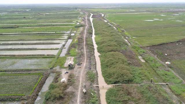 亚洲农田鸟瞰图视频素材