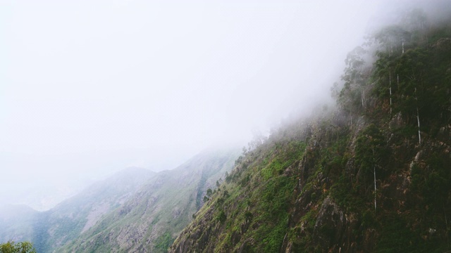 清晨的景色，薄雾笼罩的山坡视频素材