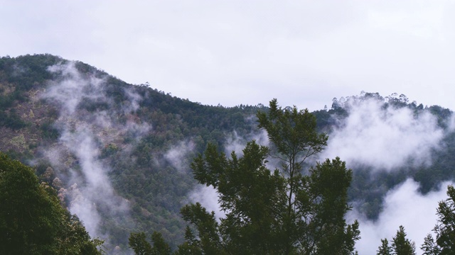 印度清晨雾蒙蒙的山景。视频素材