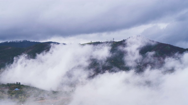 泰米尔纳德邦，浓雾部分覆盖了森林中的大山视频素材