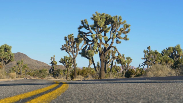 低角度:凉爽的观点，一个空的道路运行通过风景优美的莫哈韦沙漠。视频素材