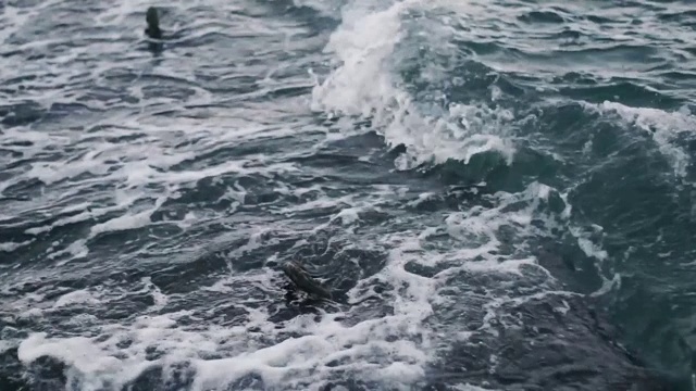 顶视图的大浪，泡沫和溅在海洋，晴天，慢动作视频视频素材