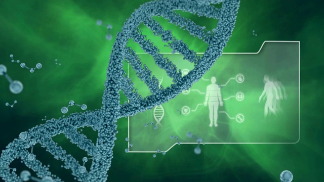 DNA双螺旋和一个DNA和数字人的文件夹视频素材